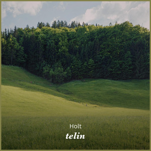 Holt by Telin