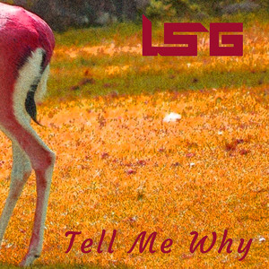 Tell Me Why by LSG