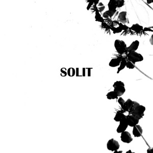 Big Body Benzo by SOLIT