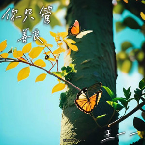 你只管善良(加速版) by 耿心远