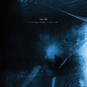 In The Empty Chamber It Grows Light cover