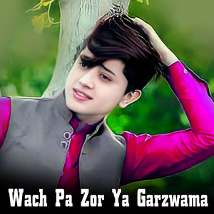 Saleem Marwat - Wach Pa Zor Ya Garzwama