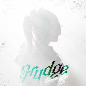 Grudge（雅なぎsolo） by TENRIN