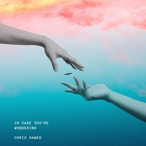 In Case You're Wondering by Chris Hawks