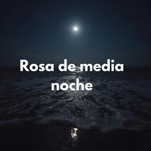 Rosa de media noche by k-c jone