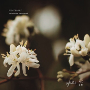 Timelapse by Jay Mellock, Arda Leen