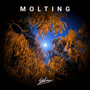 Molting by Tyler Visser