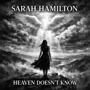 Heaven Doesn't Know by Sarah Hamilton
