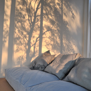 Window Light by Edge Of Silence