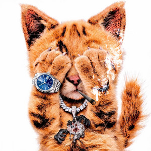 Catpiss by Cayo, Taz