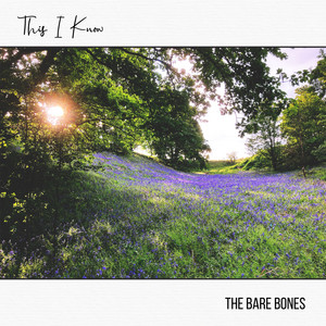 This I Know by The Bare Bones