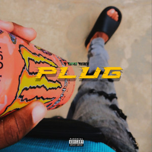 Plug