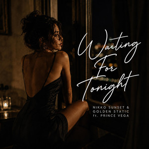 Waiting For Tonight by Nikko Sunset, Golden Static, Prince Vega
