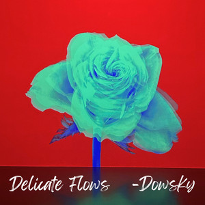 Delicate Flows by Dowsky