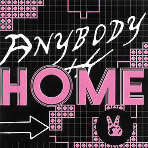 Anybody Home by Anna Erhard