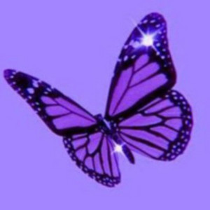 Butterflies by TubbyBeats