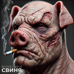 Свиня
