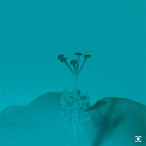 John Beltran — Soft Rain (2026)