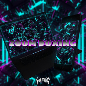 ZOOM BOXING by RISKY TARIGAN