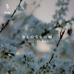Blossom by Luis Starr