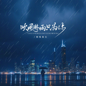 吹风淋雨只为你 (把你捧在手心)