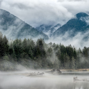 César Falox - The Mist