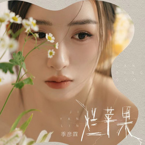 烂苹果 - DJ九零版 by 季彦霖