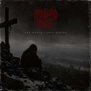 A Stranger in My Own Past by misanthropic desires, Lifeless