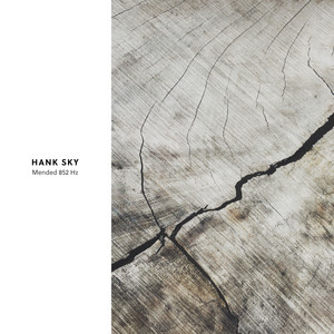 Mended 852 Hz by Hank Sky