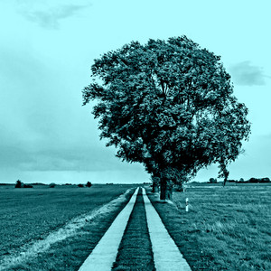 Gunnar Zander — Pumpa (2026)