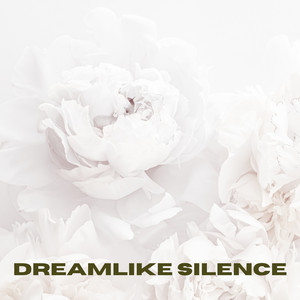 Dreamlike Silence