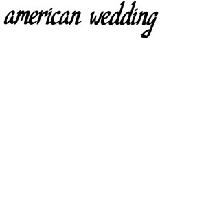 sndfil - American Wedding