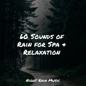60 Sounds of Rain for Spa & Relaxation album