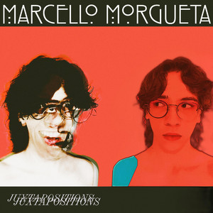 Jester's Privilege by Marcello Morgueta