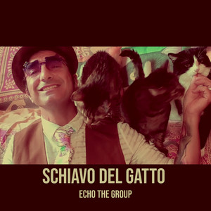 Schiavo del gatto