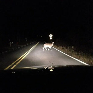 burnout by lønelyspirit, solen
