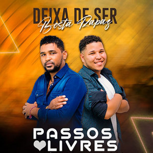 Deixa de Ser Besta Rapaz
