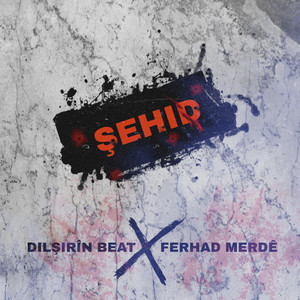 Dilşirîn beat - Şehid