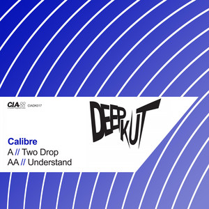 Understand by Calibre cover art