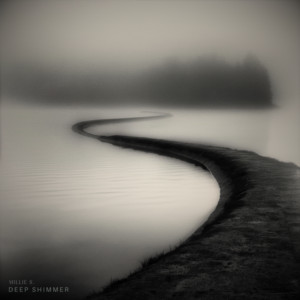 Deep shimmer by Millie S