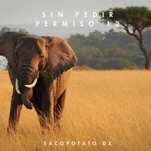 Sin Pedir Permiso 12 by Sacopotato Dx