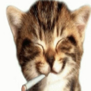 smoke a blunt, quit your job (feat. Strawberry Girl) by Yung Cloudy, Strawberry Girl