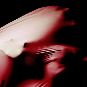 Red Herring by Purified