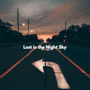 Lost in the Night Sky album