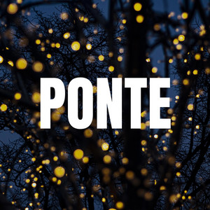 PONTE by LOKASO