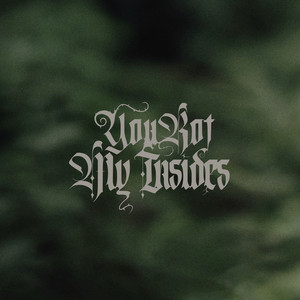 You Rot My Insides by Emma Alves