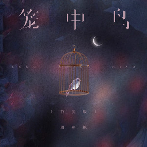 笼中鸟 - 节奏版 by 周林枫