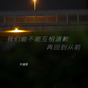 我们能不能互相道歉再回到从前 by 卡迪哥