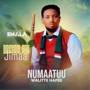 Dassaalany Jimaa - Numaatuu Walittii Hafee