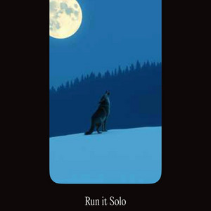 Run it Solo by Echo Wane